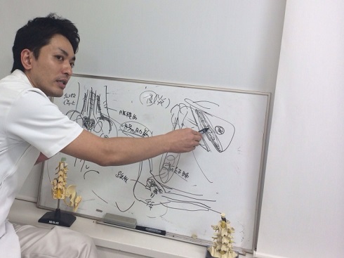 代表