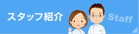 スタッフ紹介